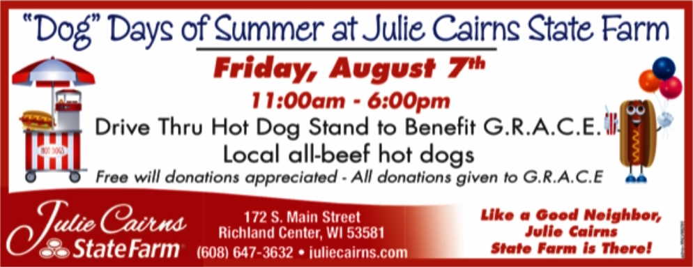julie cairns state farm rc 080720 hot dogs benefit